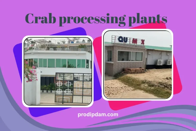Soft Shell Crab Processing Plants in Bangladesh in 2025 2 soft shell crab processing plants in bangladesh