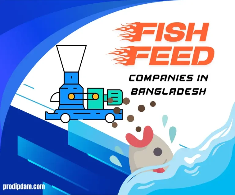 top-fish-feed-companies-in-bangladesh