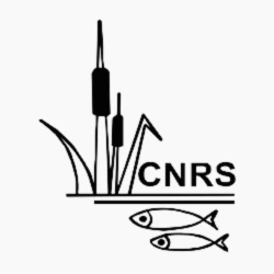 Home 12 center for natural resource studies